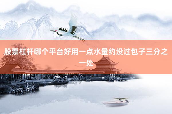 股票杠杆哪个平台好用一点水量约没过包子三分之一处
