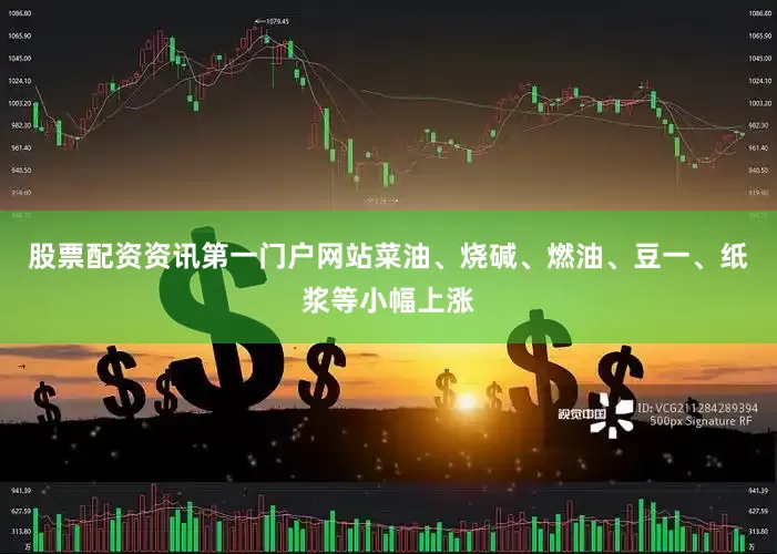 股票配资资讯第一门户网站菜油、烧碱、燃油、豆一、纸浆等小幅上涨