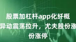 股票加杠杆app化纤概念异动震荡拉升，尤夫股份涨停